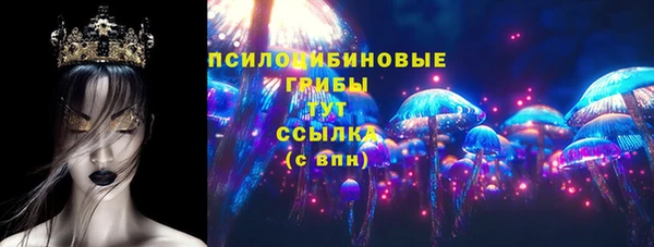 PSILOCYBIN Бронницы