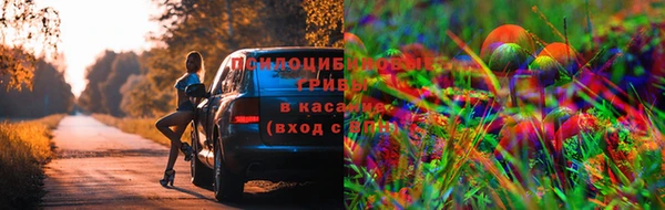 прущая мука Бородино