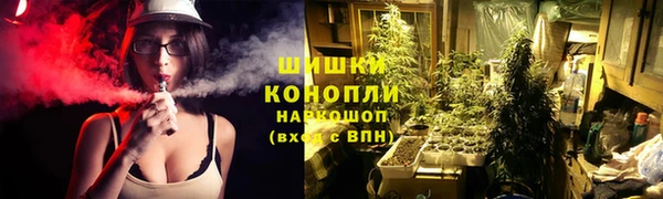 прущая мука Бородино